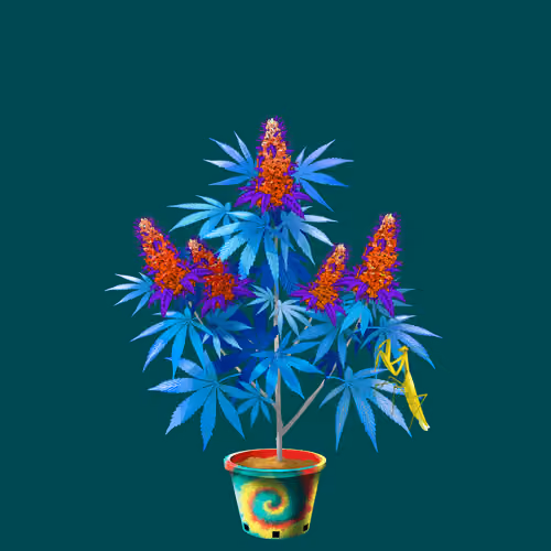 NFTokin #10583