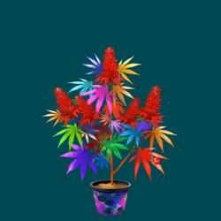 NFTokin #9081