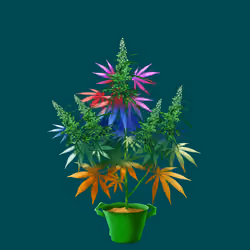 NFTokin #10927