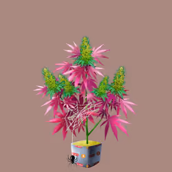 NFTokin #12390