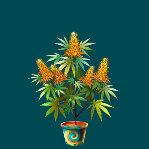 NFTokin #9797
