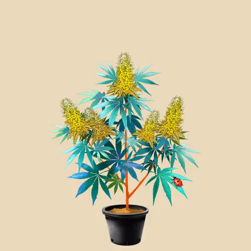 NFTokin #9457