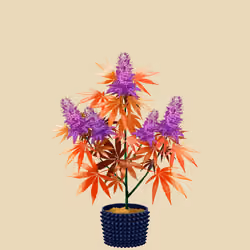 NFTokin #3345