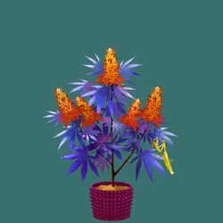 NFTokin #1492