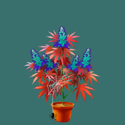 NFTokin #2821