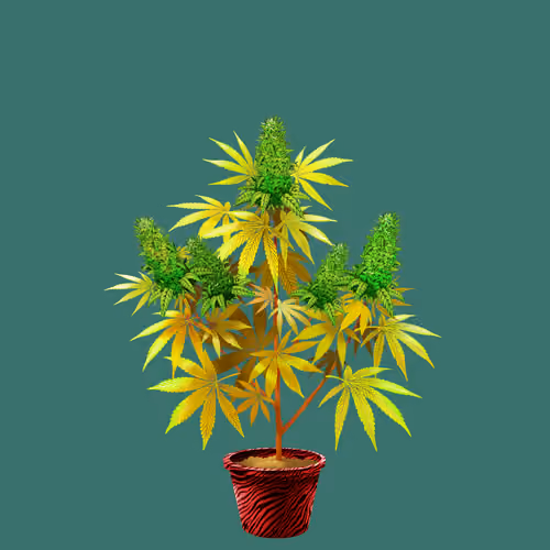NFTokin #10272