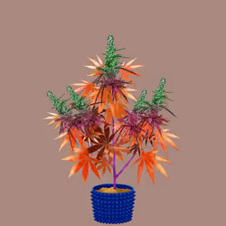 NFTokin #6827