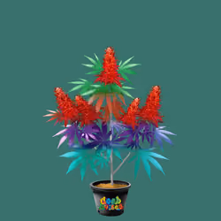 NFTokin #7400