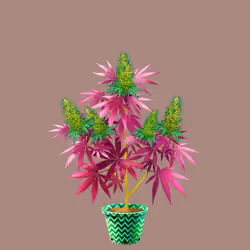 NFTokin #4235