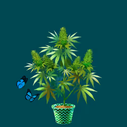 NFTokin #8874
