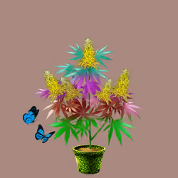 NFTokin #4918