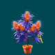 898