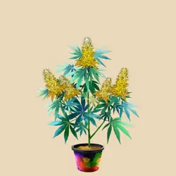 NFTokin #1288