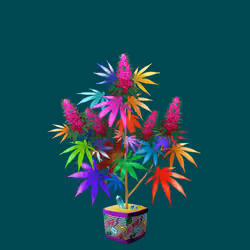 NFTokin #3287