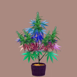 NFTokin #57