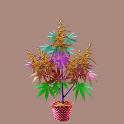 NFTokin #9930