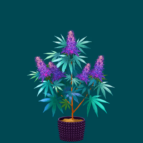 NFTokin #11298