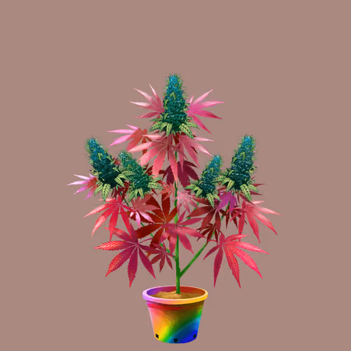 NFTokin #9646