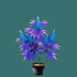 NFTokin #11799