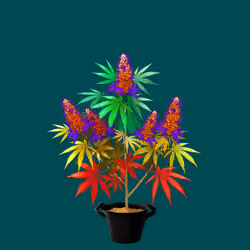 NFTokin #5302