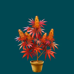NFTokin #10850