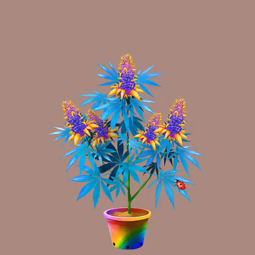 NFTokin #9465