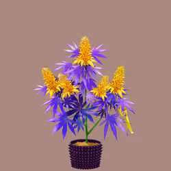 NFTokin #10969