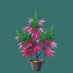 NFTokin #6887