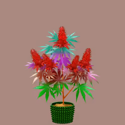 NFTokin #4974