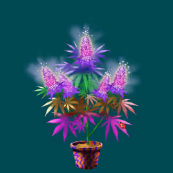 NFTokin #10015