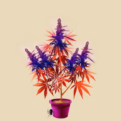 NFTokin #5927
