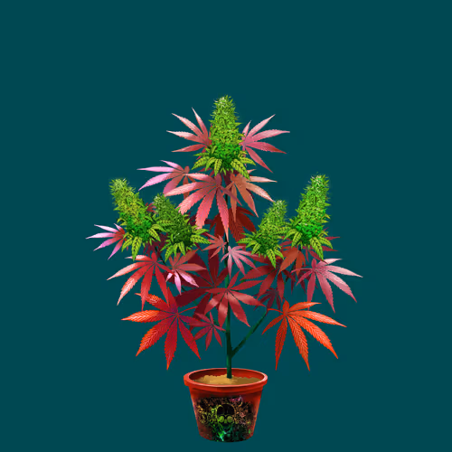 NFTokin #6622