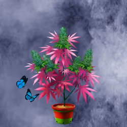 NFTokin #6599