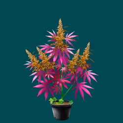 NFTokin #5419