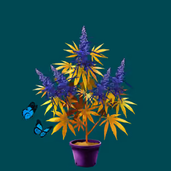 NFTokin #4202