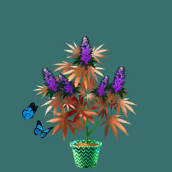 NFTokin #7551