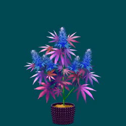 NFTokin #10305