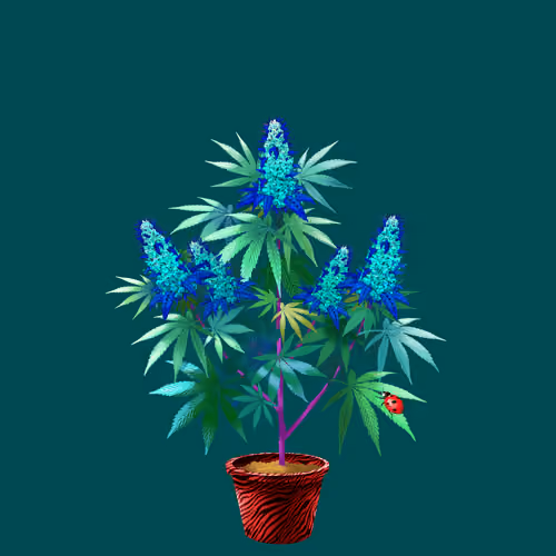 NFTokin #7978