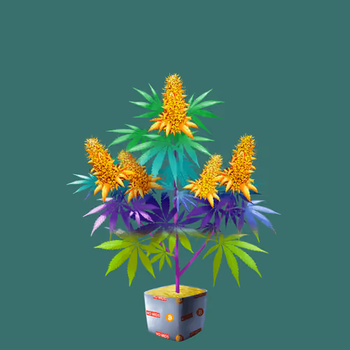 NFTokin #6729