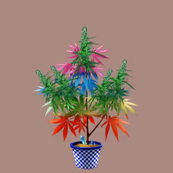 NFTokin #9444