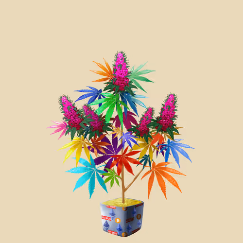 NFTokin #7222