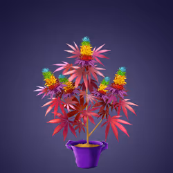 NFTokin #10705