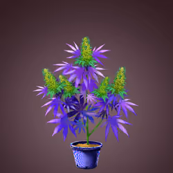 NFTokin #9387