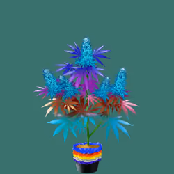 NFTokin #7878