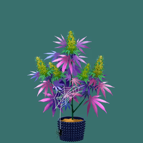 NFTokin #8518