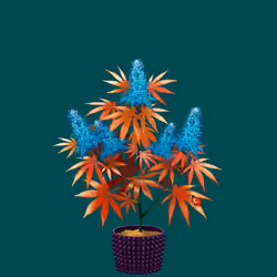 NFTokin #7176