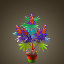 NFTokin #9435