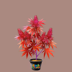 NFTokin #4863