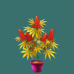NFTokin #9106