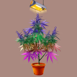 NFTokin #3441